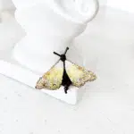 broszka ćma motyl
